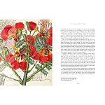 Прекрасно иллюстрированная книга более 100 ботанических произведений Plant Hunters Atlas варинант исполнения - 5 | Loft Concept в Ростове-на-Дону