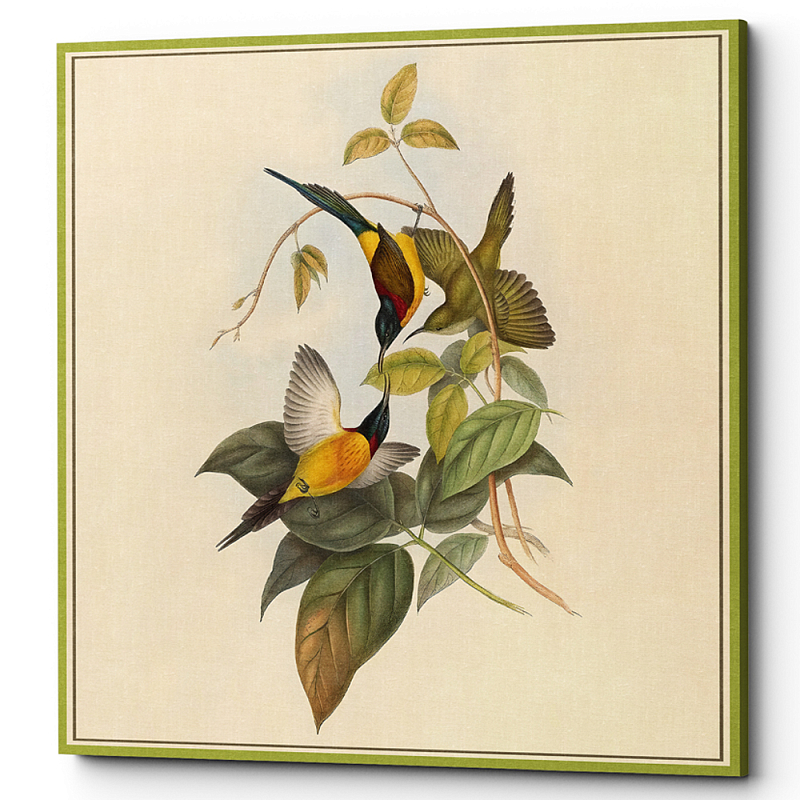         Blooming Birds Poster    -- | Loft Concept 