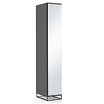 Шкаф-пенал с зеркальной дверцей и фасадом цвета графит Strict Lines варинант исполнения - 2 | Loft Concept в Ростове-на-Дону