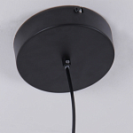 Люстра подвесная светодиодная черный металл Ring Horizontal варинант исполнения - 6 | Loft Concept в Ростове-на-Дону