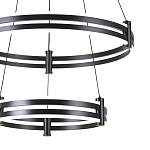 Люстра светодиодная с 2-мя плафонами в форме колец из акрила и алюминия с пультом для регулировки света Ring Horizontal Black варинант исполнения - 1 | Loft Concept в Ростове-на-Дону