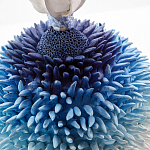 Статуэтка Синий тропический фрукт Tropical Fruit Pandora 4 варинант исполнения - 1 | Loft Concept в Ростове-на-Дону