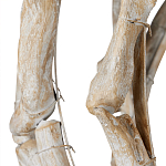 Люстра круглая в виде веток деревьев Natural Driftwood варинант исполнения - 3 | Loft Concept в Ростове-на-Дону