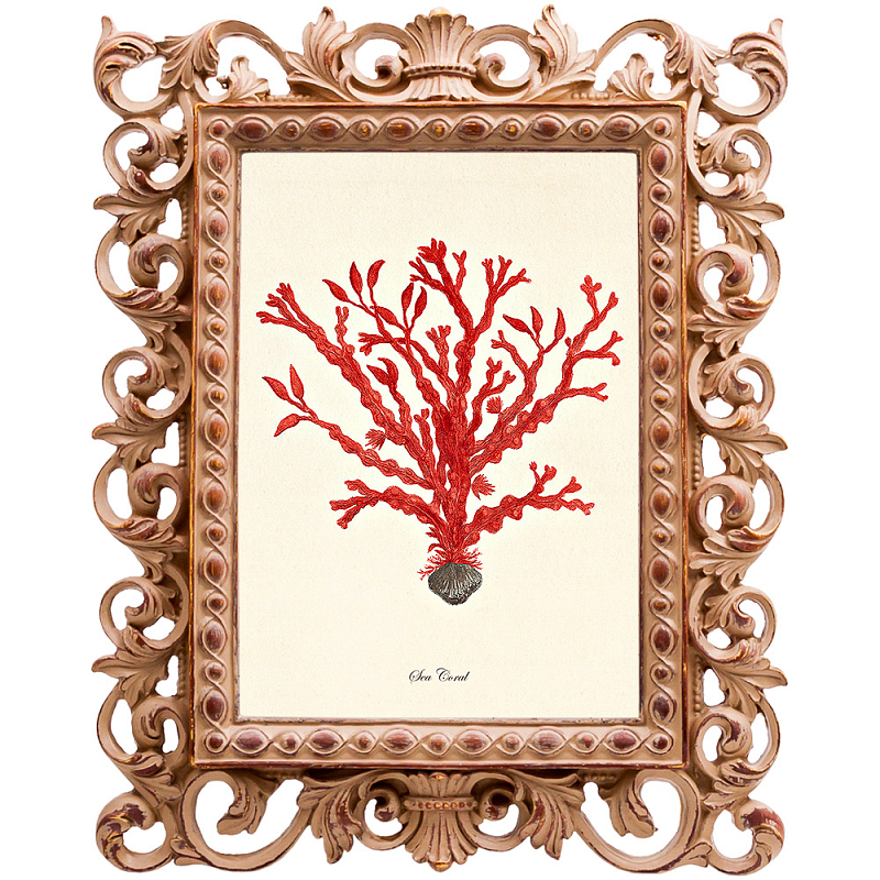  Red Coral Poster 2    -- | Loft Concept 
