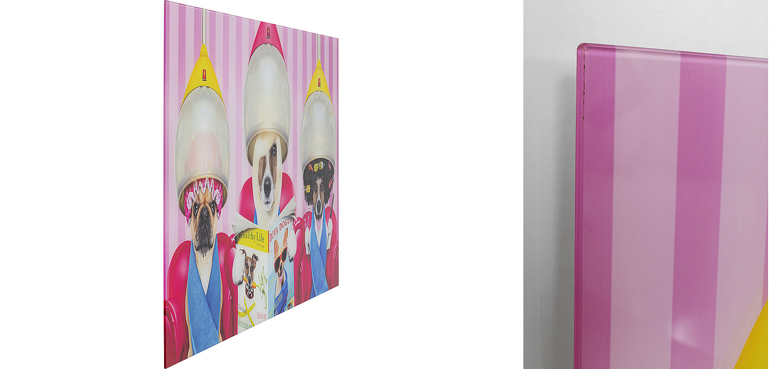 Картина Dogs in a beauty salon  - Loft-Concept в Ростове-на-Дону