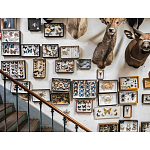 Книга Extraordinary Collections: French Interiors варинант исполнения - 11 | Loft Concept в Ростове-на-Дону