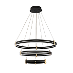 Люстра светодиодная с 3-мя плафонами в форме колец из акрила и алюминия с пультом для регулировки света Ring Horizontal Anthracite варинант исполнения - 6 | Loft Concept в Ростове-на-Дону