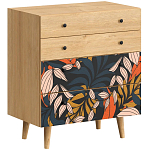 Комод с принтом на ящиках Elise Chest of Drawers варинант исполнения - 2 | Loft Concept в Ростове-на-Дону
