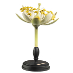 Статуэтка Tilia варинант исполнения - 2 | Loft Concept в Ростове-на-Дону