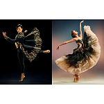 Книга New York City Ballet: Choreography and Couture варинант исполнения - 1 | Loft Concept в Ростове-на-Дону