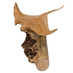 Статуэтка из дерева скат Animals of the World варинант исполнения - 2 | Loft Concept в Ростове-на-Дону