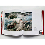 Книга Коллекция картин Сарджента Sargent: The Masterworks варинант исполнения - 6 | Loft Concept в Ростове-на-Дону