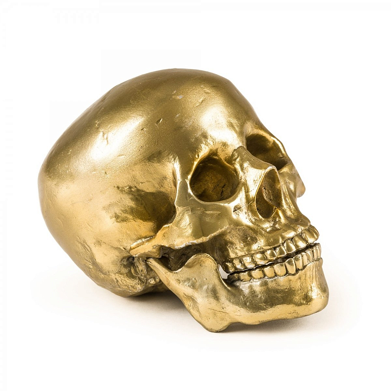  Seletti Wunderkrammer Human Skull   -- | Loft Concept 
