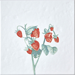 Плитка с узором Земляника варинант исполнения - 2 | Loft Concept в Ростове-на-Дону