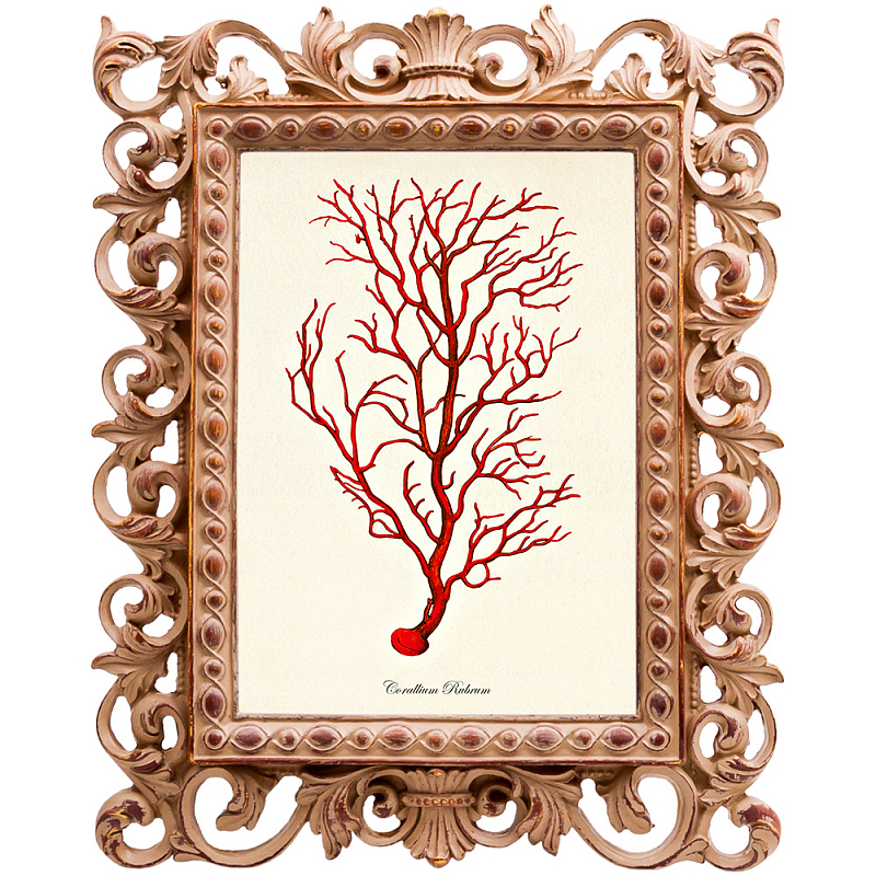  Red Coral Poster 4    -- | Loft Concept 