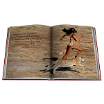 Лимитированная подарочная большая книга CARTIER Panthère варинант исполнения - 12 | Loft Concept в Ростове-на-Дону