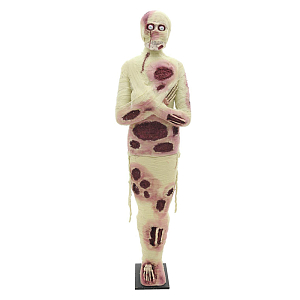 Аксессуар для Хэллоуина Egyptian Mummy