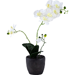 Декоративный искусственное растение Angel Orchid варинант исполнения - 1 | Loft Concept в Ростове-на-Дону