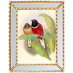 Постер с изображением птиц и цветов в зеркальной раме Blooming Birds Poster варинант исполнения - 6 | Loft Concept в Ростове-на-Дону
