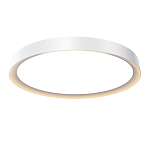 Потолочный светильник Incognito 2700-4000К 46Вт варинант исполнения - 1 | Loft Concept в Ростове-на-Дону