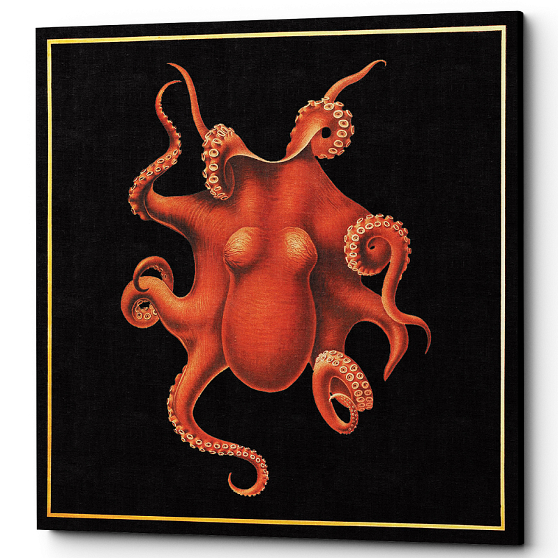  Octopus Poster    -- | Loft Concept 
