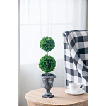 Декоративный искусственное растение Double boxwood варинант исполнения - 5 | Loft Concept в Ростове-на-Дону