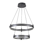 Люстра светодиодная с 2-мя плафонами в форме колец из акрила и алюминия с пультом для регулировки света Ring Horizontal Black варинант исполнения - 4 | Loft Concept в Ростове-на-Дону