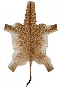 Натуральная шкура жирафа