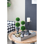 Декоративный искусственное растение Double boxwood варинант исполнения - 8 | Loft Concept в Ростове-на-Дону