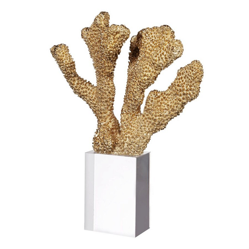  Gold Sea Cactus    -- | Loft Concept 