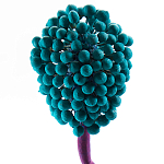 Статуэтка для интерьера фрукт Pandora Tropical Fruit 22 варинант исполнения - 2 | Loft Concept в Ростове-на-Дону