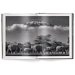 Книга Beusker. Look into my Eyes варинант исполнения - 2 | Loft Concept в Ростове-на-Дону