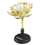 Статуэтка Tilia варинант исполнения - 3 | Loft Concept в Ростове-на-Дону