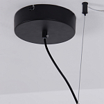 Люстра подвесная светодиодная черный металл Ring Horizontal варинант исполнения - 13 | Loft Concept в Ростове-на-Дону