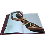 Коллекционная книга Art in Vogue варинант исполнения - 1 | Loft Concept в Ростове-на-Дону