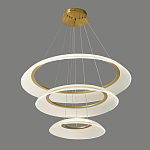 Люстра подвесная с 3-мя кольцевыми светодиодными лампами Catcher варинант исполнения - 1 | Loft Concept в Ростове-на-Дону