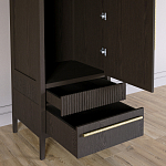 Узкий Шкаф Primo с 2 выдвижными ящиками Темный орех варинант исполнения - 5 | Loft Concept в Ростове-на-Дону