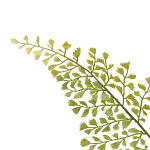 Декоративный искусственное растение Dried flower варинант исполнения - 3 | Loft Concept в Ростове-на-Дону