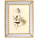 Постер с изображением птиц и цветов в зеркальной раме Blooming Birds Poster варинант исполнения - 8 | Loft Concept в Ростове-на-Дону