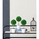 Декоративный искусственное растение Boxwood One варинант исполнения - 9 | Loft Concept в Ростове-на-Дону