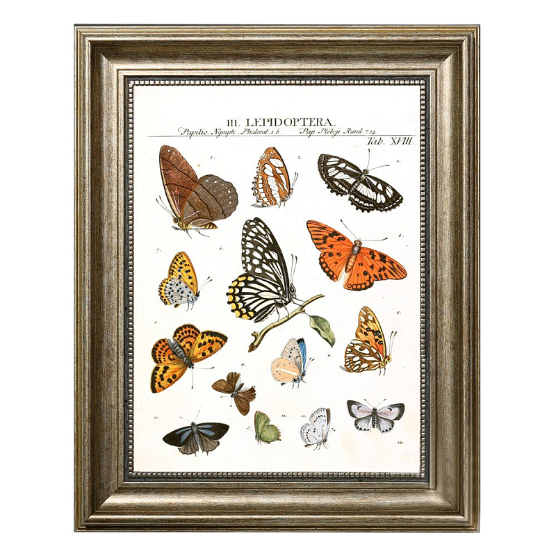  Little Butterflies   -- | Loft Concept 