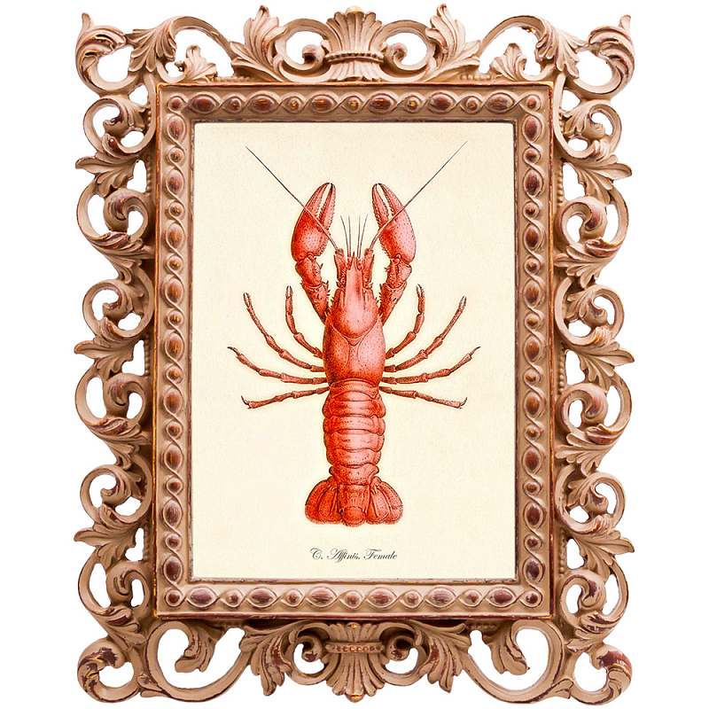 Red Lobster    -- | Loft Concept 