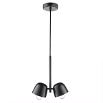 Подвесной светильник черный с 2-мя плафонами Pendant lamp Black варинант исполнения - 1 | Loft Concept в Ростове-на-Дону