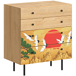 Комод с принтом на ящиках Elise Chest of Drawers варинант исполнения - 4 | Loft Concept в Ростове-на-Дону