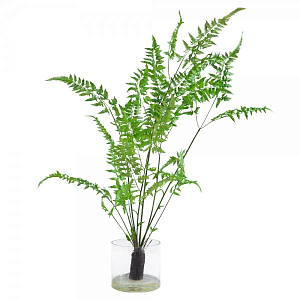 Декоративный искусственный цветок Forest Fern
