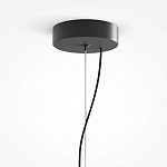 Подвесной светильник Rare grapes варинант исполнения - 4 | Loft Concept в Ростове-на-Дону