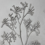 Панно Лесной цветок варинант исполнения - 4 | Loft Concept в Ростове-на-Дону