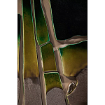 Панно «Амазония» варинант исполнения - 3 | Loft Concept в Ростове-на-Дону