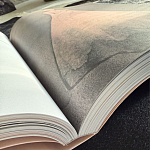 Лимитированное издание Иллюстрации модного дома Book: Dior par Mats Gustafson Vol. II Maria Grazia Chiuri варинант исполнения - 3 | Loft Concept в Ростове-на-Дону