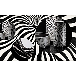 Редкое коллекционное издание Casa Cavalli Home: Celebrating the Roberto Cavalli Lifestyle Зебра варинант исполнения - 4 | Loft Concept в Ростове-на-Дону